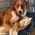 Crystal Leonard Rakosky's profile image