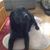 Jerry Langman's profile image