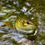 Chris Doyal's profile image