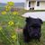 Lori Anne Waite's profile image