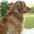 Doug Brown's profile image
