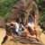 Sue Jong's profile image