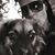 Kathy Kurtenbach's profile image
