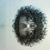 Raphael James Haber's profile image