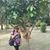 Cheryl Villaflor's profile image