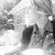 Amanda Keenan's profile image