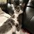 Kathy Leiser's profile image