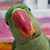 Barb Wald's profile image