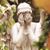 Leslie S. Taylor-Burke's profile image