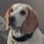 Emily Zeller's profile image