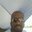 Richard T Hamilton's profile image