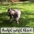 Gail Lister Milstead's profile image