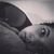 Emily Renae Longfellow's profile image