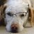 Gracie Carr's profile image