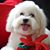 Cheryl Brogan's profile image
