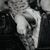 Amy Weisberg's profile image