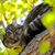 Corky Swenson Connor's profile image