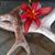 Lacy Miller- Smith's profile image