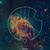 Susan Kraftschik's profile image