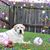 Tiffany Tibbitts's profile image