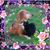 Lisa Shelton's profile image