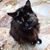 Beverly Eddleman Helms's profile image