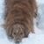 Dana Gilmour's profile image