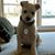 Stephanie Cooney Geissler's profile image