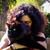 Marie-Laure Delage-Carlson's profile image