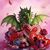 Jacqueline Lavallee's profile image