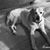 Debra Goodwick's profile image