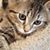 Judi Loucks Fernandez's profile image