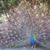 Aparna Lanka's profile image