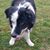 Ann Bates Flemming's profile image