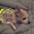 Bernadette Rangel's profile image