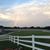 Connie Geyer's profile image