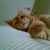 James Graham's profile image