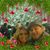 Larry Scott Davis's profile image