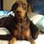 Eljayess Pardue's profile image