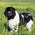 John Vicki Maeckle's profile image