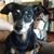 Michelle Duning's profile image