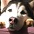 Jaime Morrell's profile image