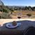 Jose Luis Torres's profile image