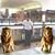 Gregorio Martines's profile image