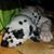 Lisa Maloney's profile image