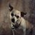 Tina Marie's profile image
