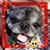 Jesus Jess Sarile's profile image