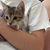 Purrfect Paws's profile image