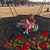 Christina Richardson's profile image