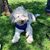 Maureen Tynan Houtz's profile image